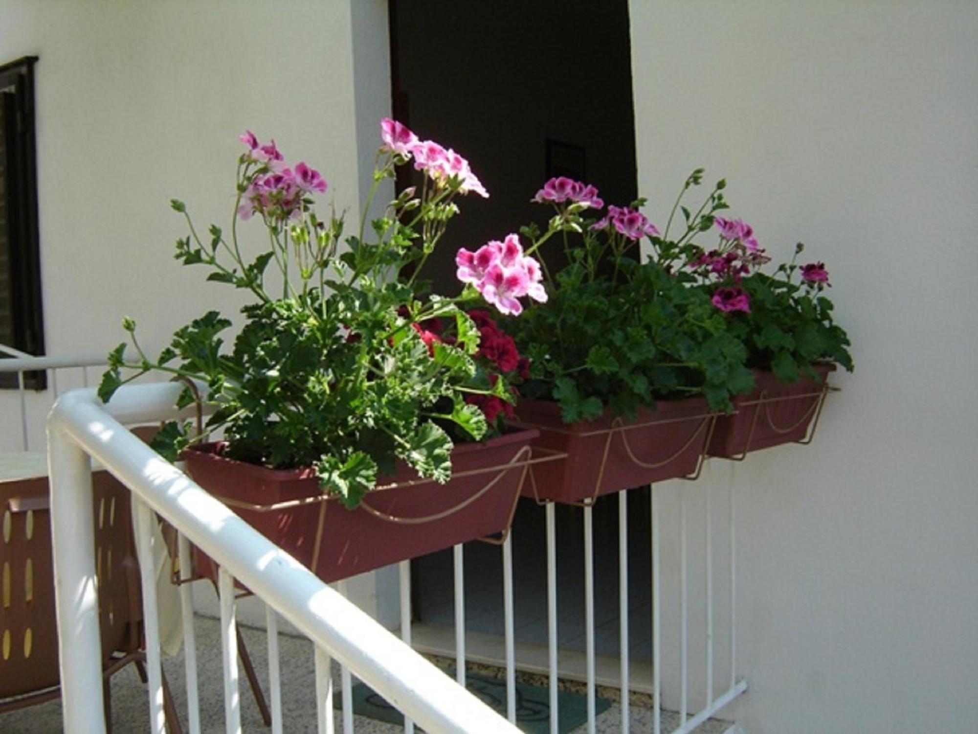 Apartmani Luna Hvar Town Exteriér fotografie