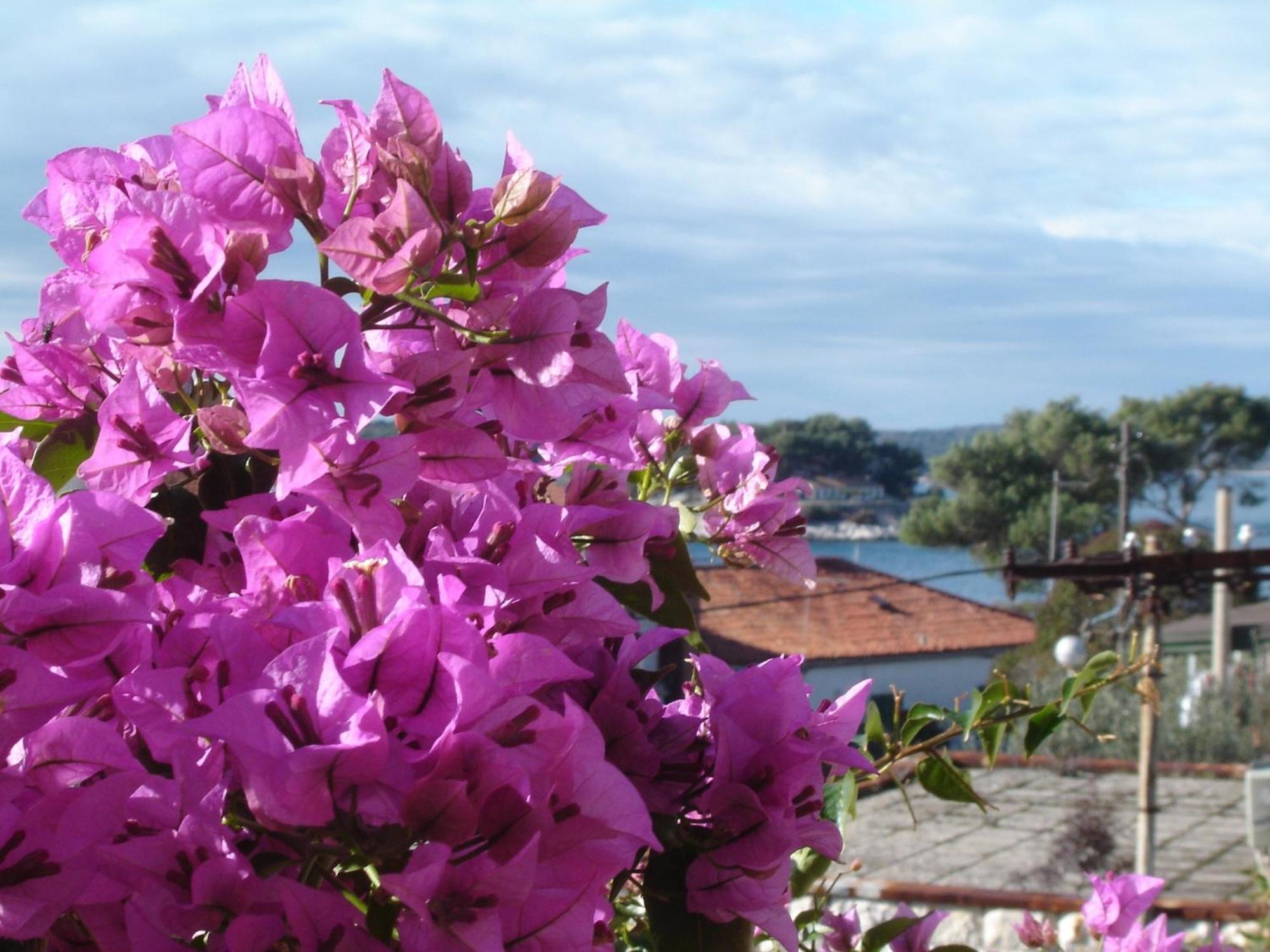 Apartmani Luna Hvar Town Exteriér fotografie