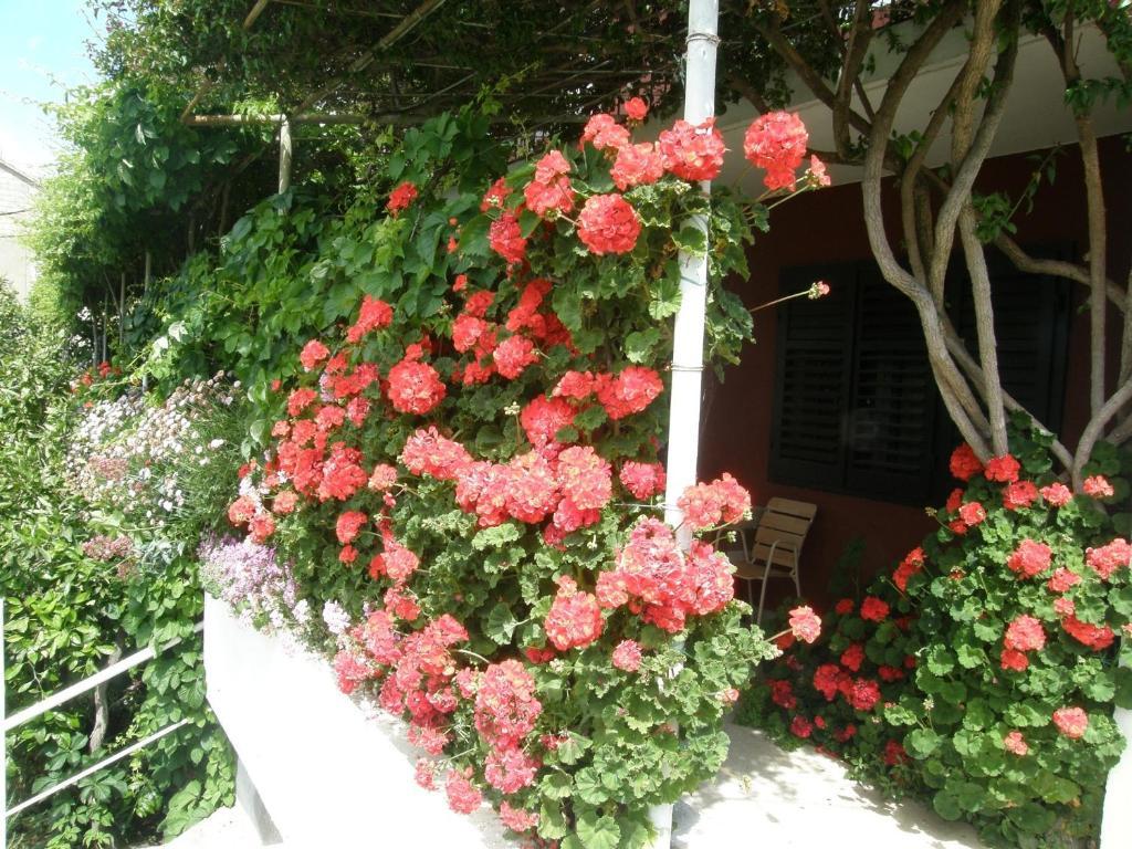 Apartmani Luna Hvar Town Exteriér fotografie