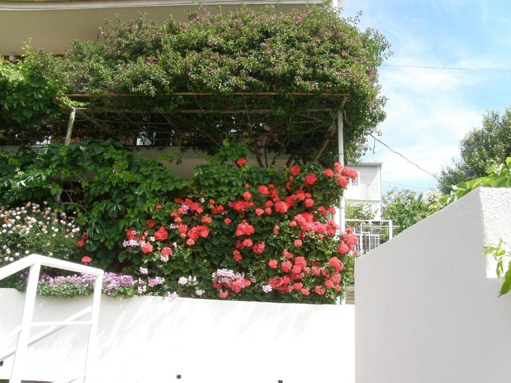 Apartmani Luna Hvar Town Exteriér fotografie