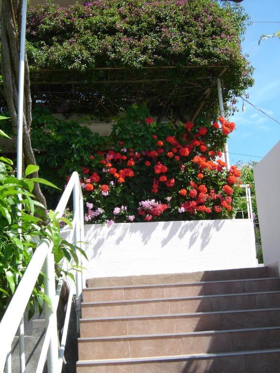 Apartmani Luna Hvar Town Exteriér fotografie