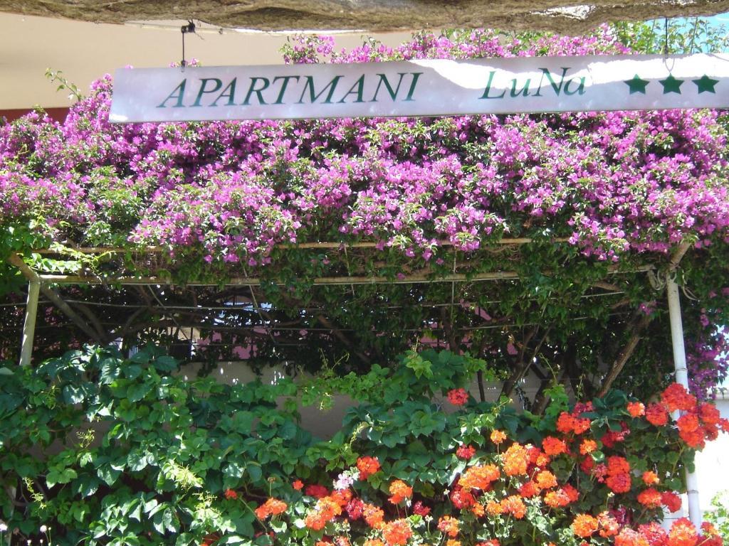 Apartmani Luna Hvar Town Exteriér fotografie