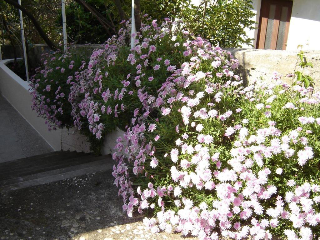 Apartmani Luna Hvar Town Pokoj fotografie