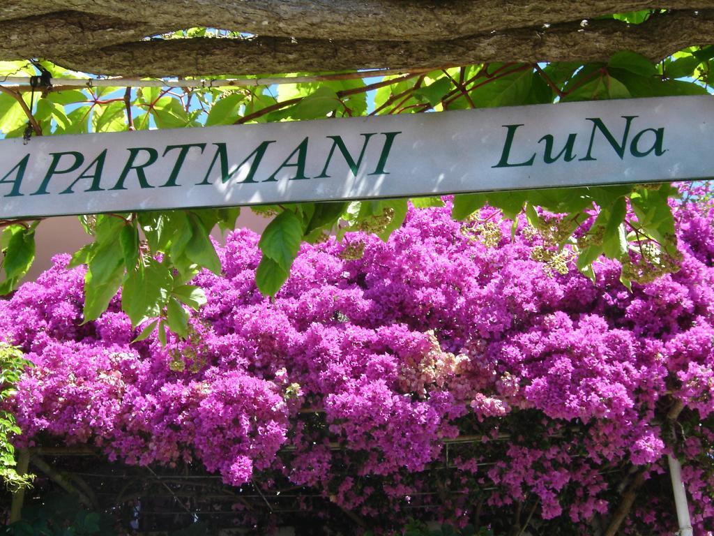 Apartmani Luna Hvar Town Exteriér fotografie